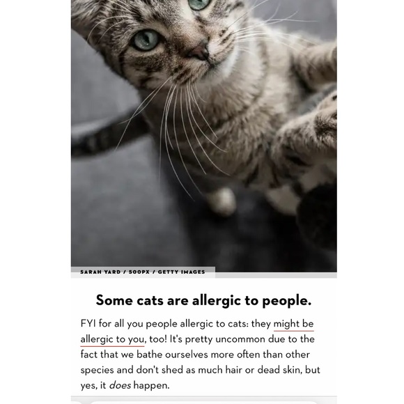 💥COMMENTS FULL LIKE NEW FOLLOW GAME #2 With the 🥕 carrot. - Picture 2 of 16